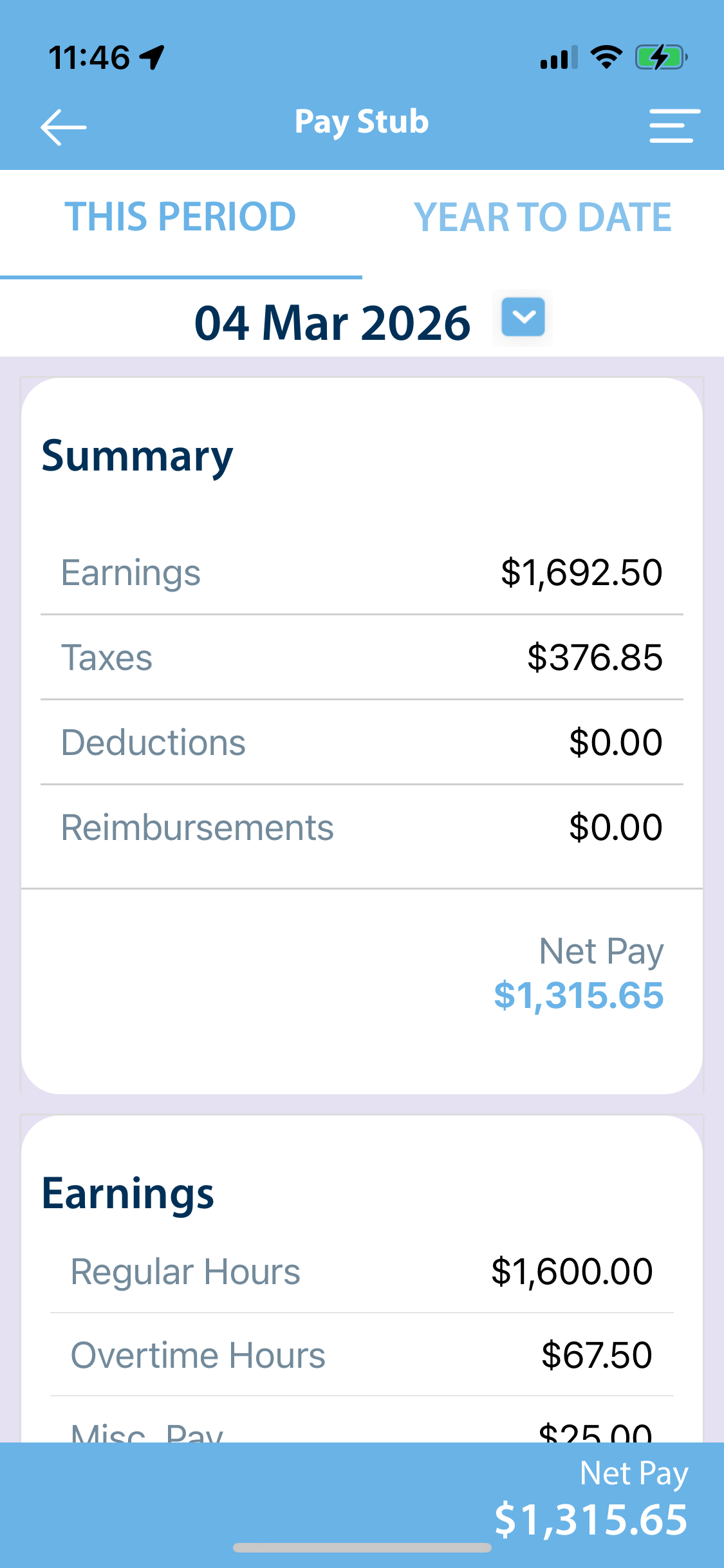 Pay_Stub_Summary_Earnings.PNG